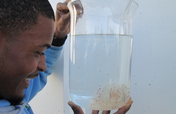 The SEA Lab