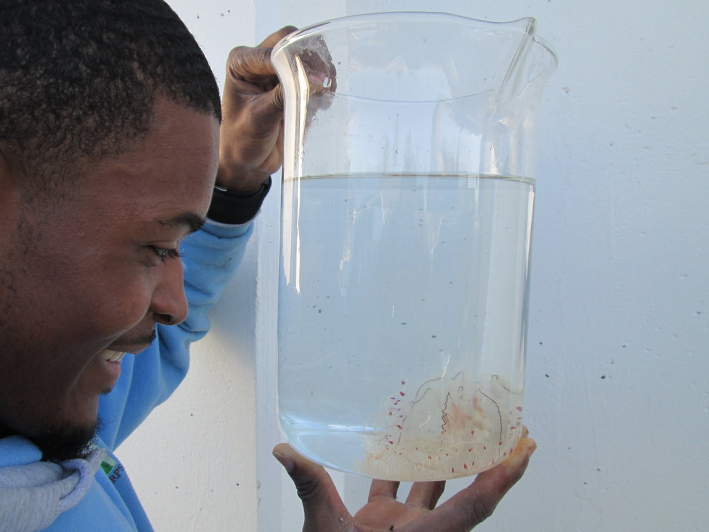 The SEA Lab