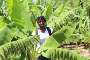 Field Work GWGL Team Leader