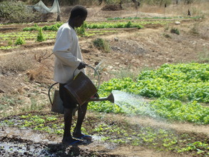 Irrigation System NeededTo Replace Bucket Carrying