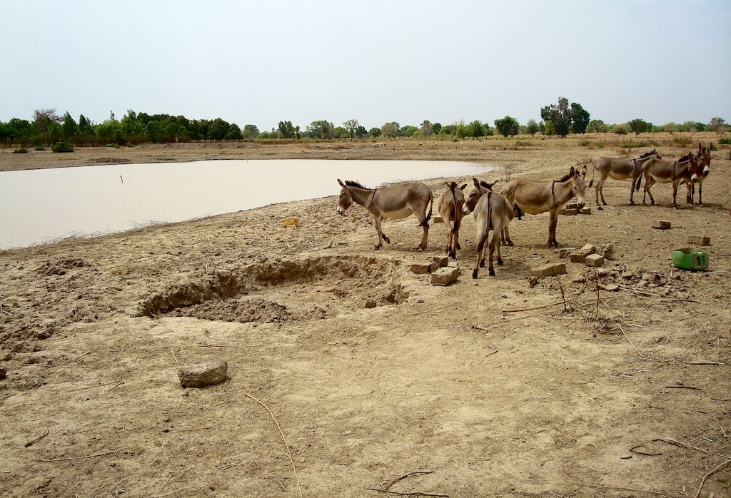 Rainwater Catchments: A Solution to Water Scarcity