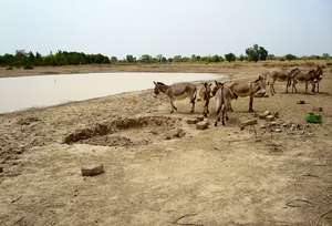 Catchment basins create employment opportunities
