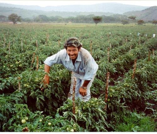 Reduce poverty in rural Nicaragua