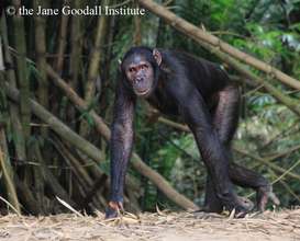 Kudia loves exploring her new island home!