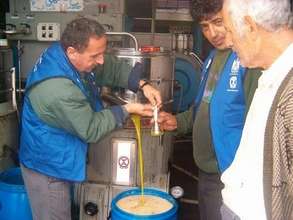 Technical Oversight for Quality Olive Oil