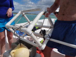 A Baited Remote Underwater Video (BRUV) system