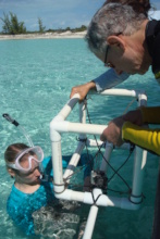 a baited remote underwater video unit is retrieved