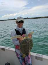 Lead Scientist Annabelle Brooks w/ a green turtle