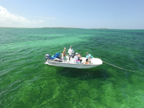 These teen volunteers helped tag over 200 turtles!