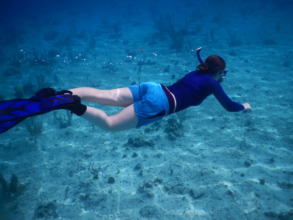 Surveying the sea floor of turtle habitat