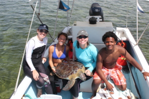 Always nice to see such a large, healthy turtle!