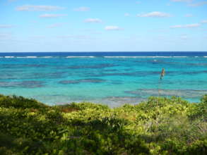 View from the research center