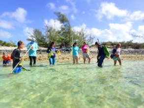 Teen volunteers on the lookout for turtles