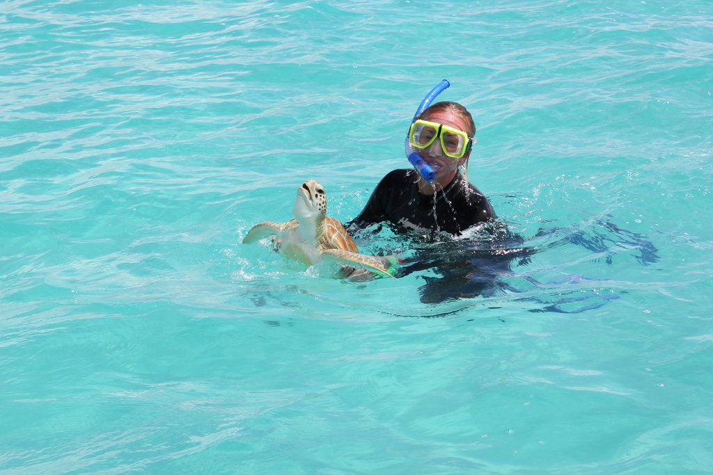 Earthwatch's Tracking Sea Turtles in the Bahamas