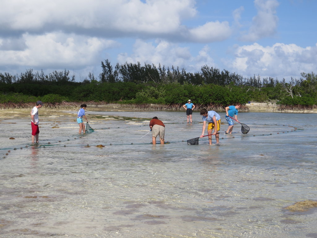 Earthwatch's Tracking Sea Turtles in the Bahamas