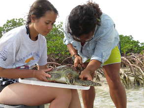 Students help conduct research in the Bahamas.