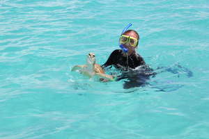Student catching a green sea turtle.