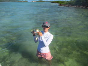 Lead scientist Annabelle Brooks with a turtle.