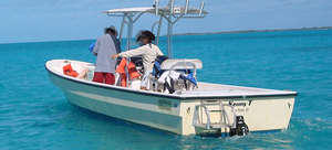 Dr. Brooks points out a sea turtle