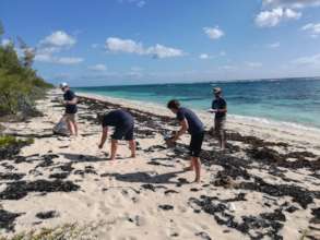 Earthwatchers also collect trash from the beach