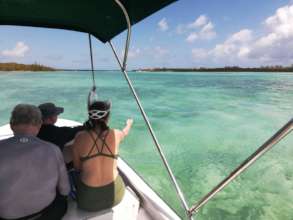 Volunteers help guide their boat after a turtle