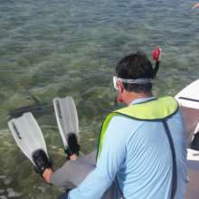 A volunteer prepares to dive in after a turtle