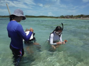Teen volunteers record seagrass bed data