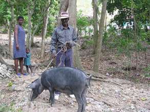 Family with Pig