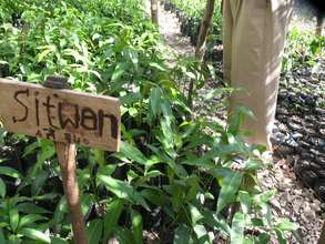 ADZK Supports Sustainable Reforestation