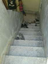 where they are living