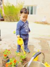 Jay tends to the garden, watering the flowers.