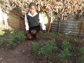 The childrens gardens - feeding their families