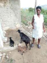 ODEPERIB Member with Her Female Goat & its Kids