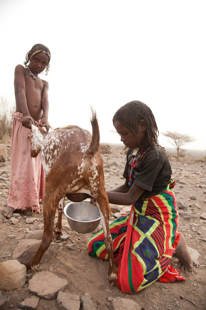 Women & Child Health Support in Awash Ethiopia
