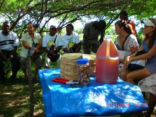 Help 35 Families Become Self-Sufficient with Honey