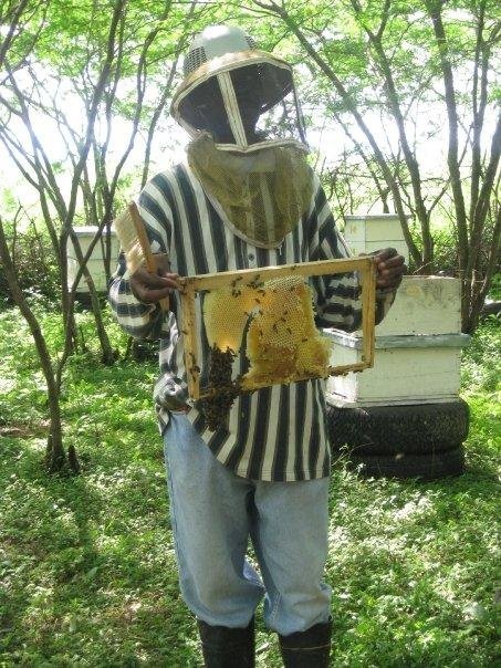 Help 35 Families Become Self-Sufficient with Honey