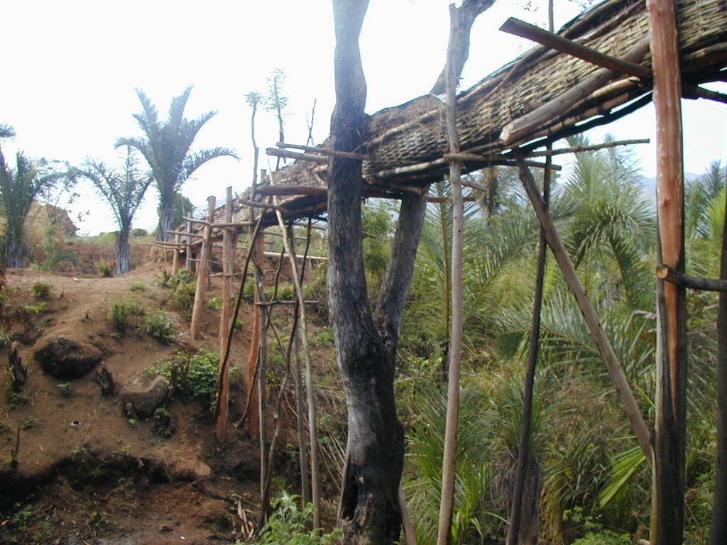 Fish to Feed HIV affected families in Malawi