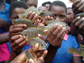 My Fish