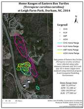Turtle Home Range GIS Map