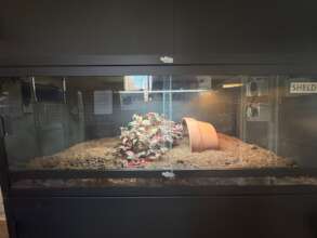 Progress on the Indoor Enclosures