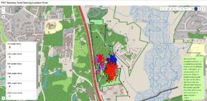 Telemetry Turtle Locations in Leigh Farm Park