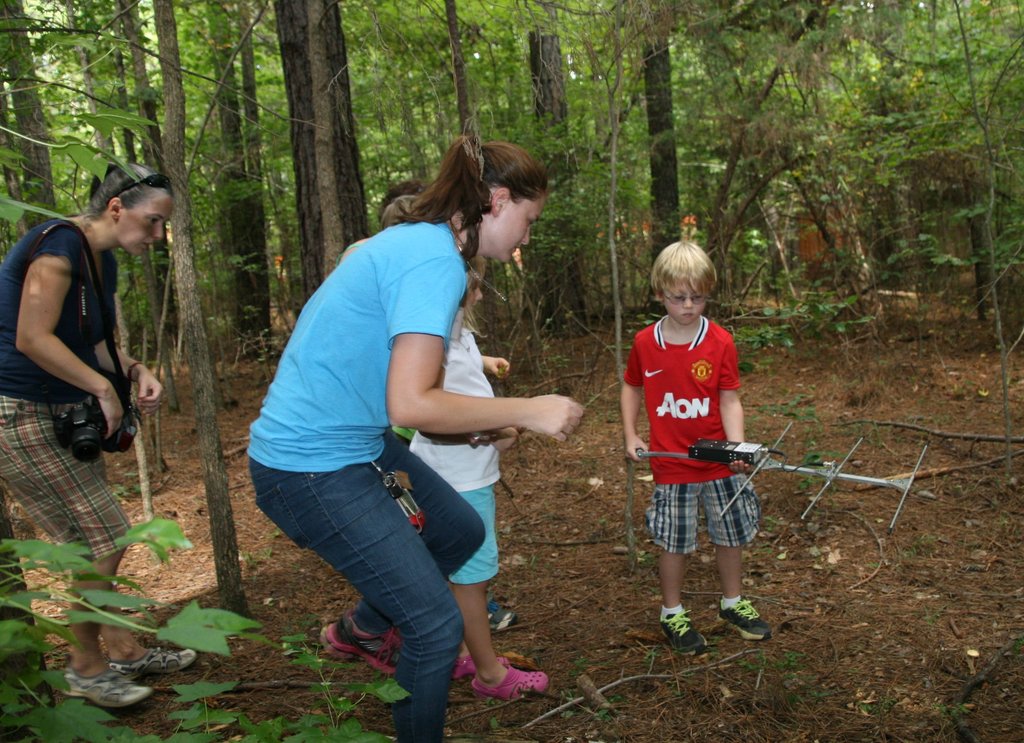 Help Save the Box Turtles!