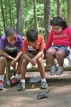 Children watching our educational turtle.