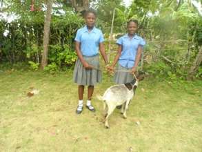 Dahana (left) shares the gift of a goat with Nancy