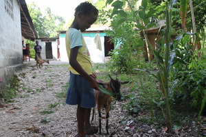 Youslie feeding her goat