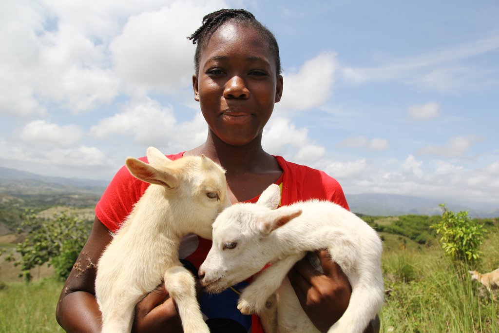 Give a Girl a Goat, Keep Her in School