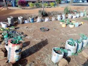 A demonstration on use of borehole water