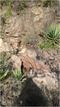 Dry River Bed Site for New Sand Dam