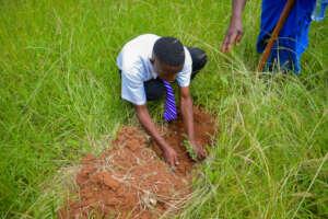 Project beneficiary planting a tree in school