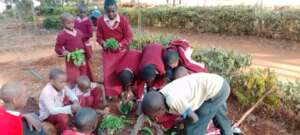 students using water for a practical session.